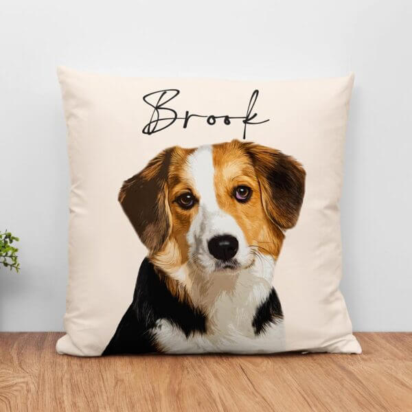 Custom Pet Pillow